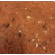 Reclaimed Red Brick Slips - Close up showing exposed natural clay aggregate