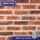 Urban Weathered Red Brick Tile - Sample