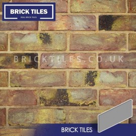 Olde Victorian Red Blend Brick Tiles
